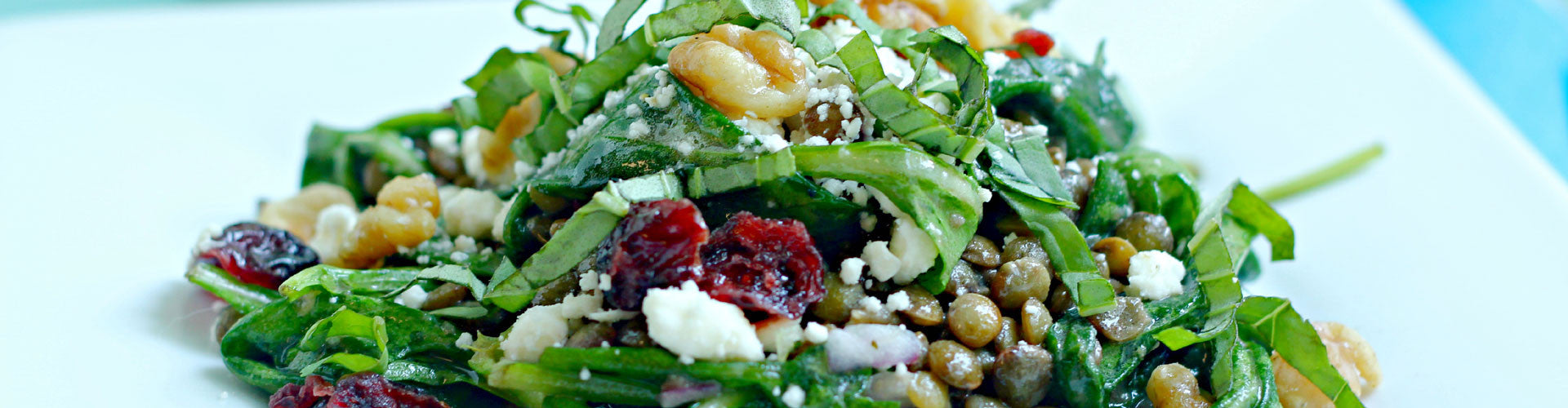 French Lentil Salad with Feta, Cranberries and Walnuts – Pereg Natural Foods & Spices