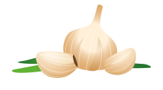 Garlic Spices